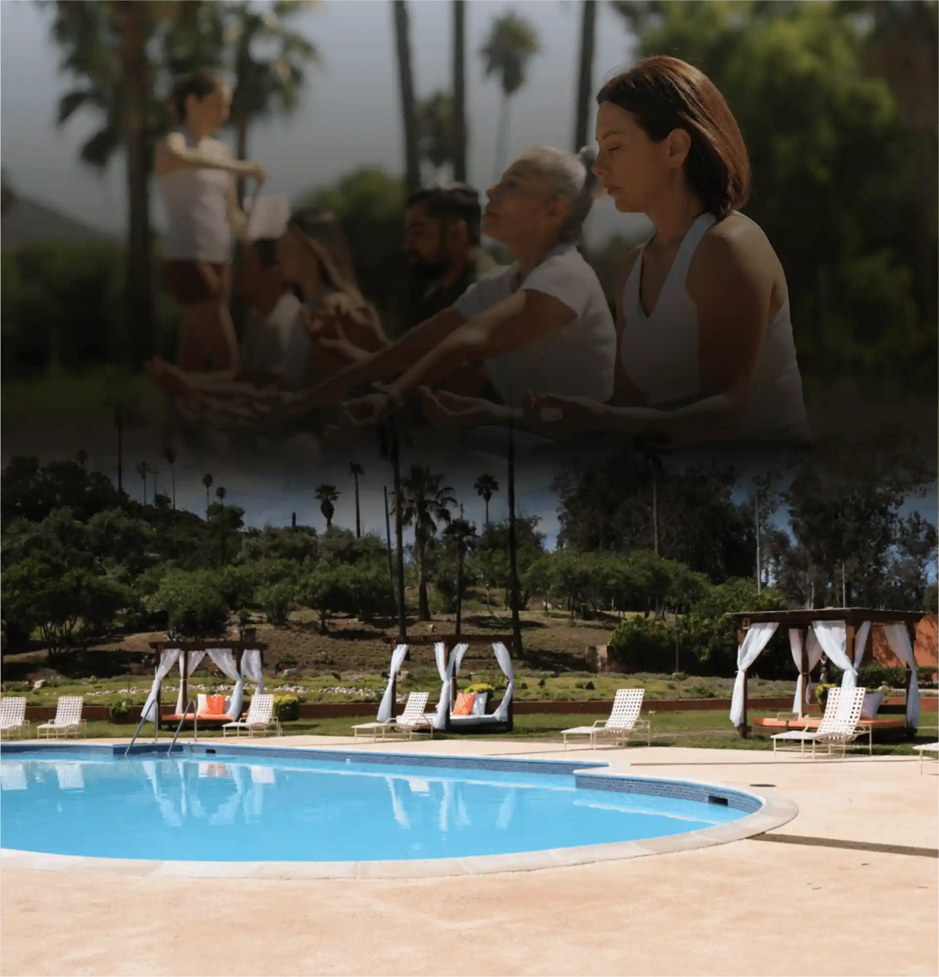 Videos Rancho Tecate